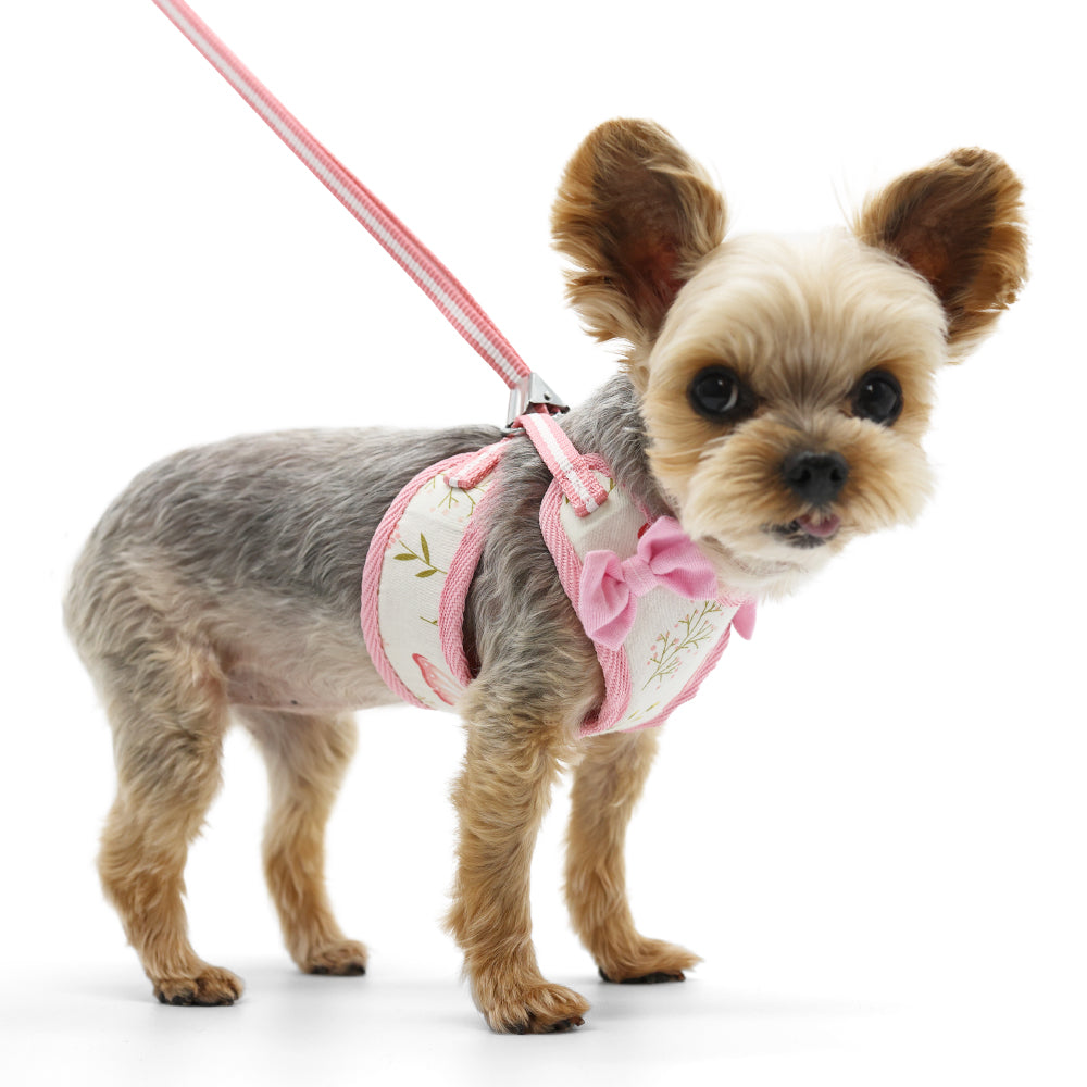 DOGO EasyGO Butterfly Dog Harness and Leash Set