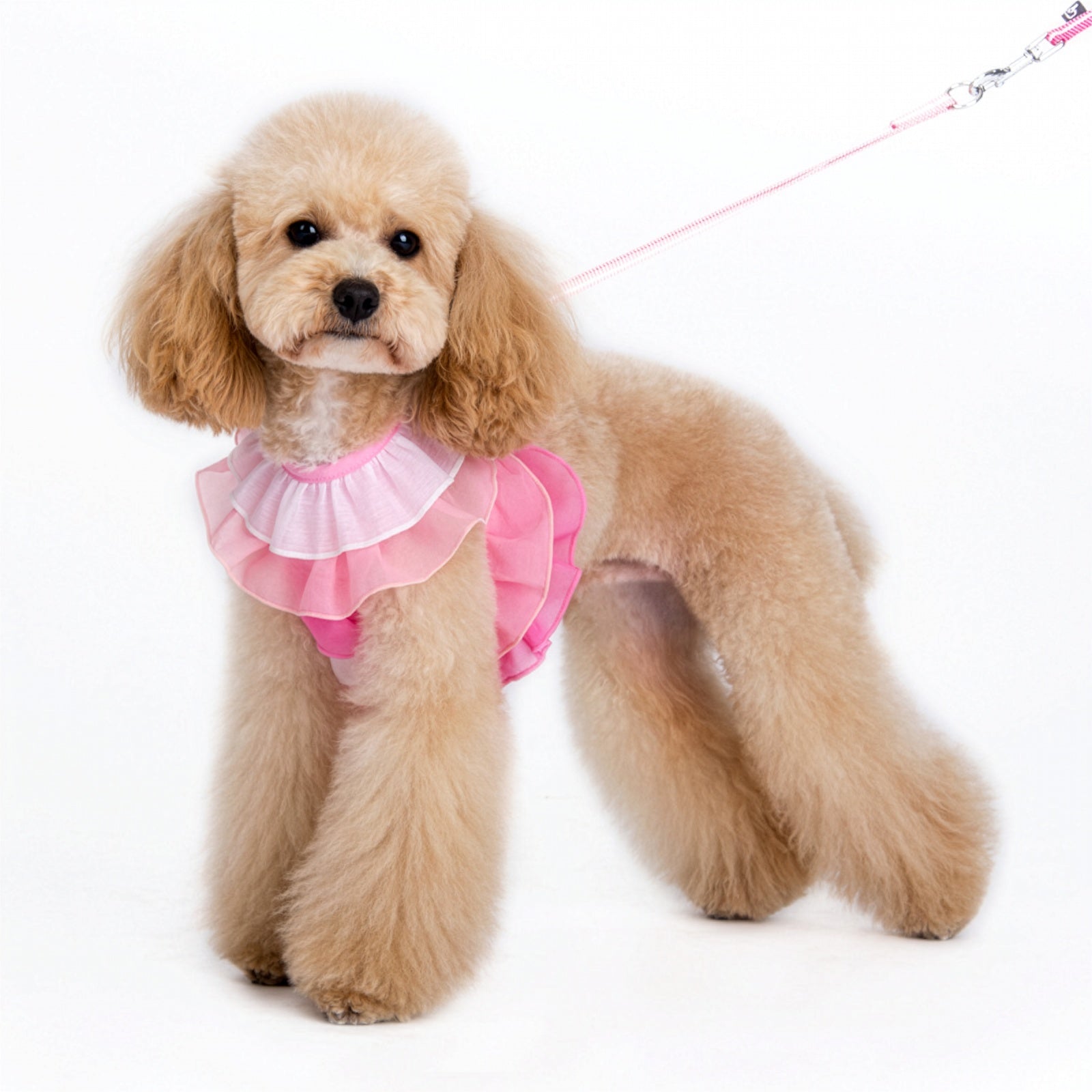 DOGO EasyGO Multi Ruffle Dog Harness and Leash Set
