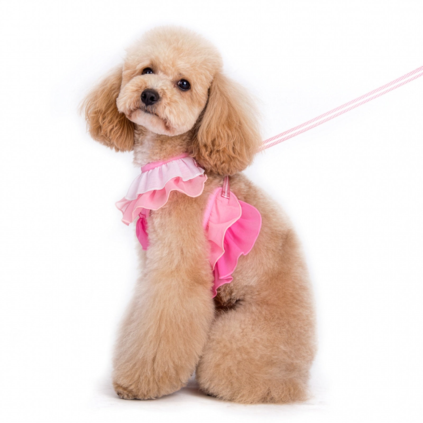 DOGO EasyGO Multi Ruffle Dog Harness and Leash Set