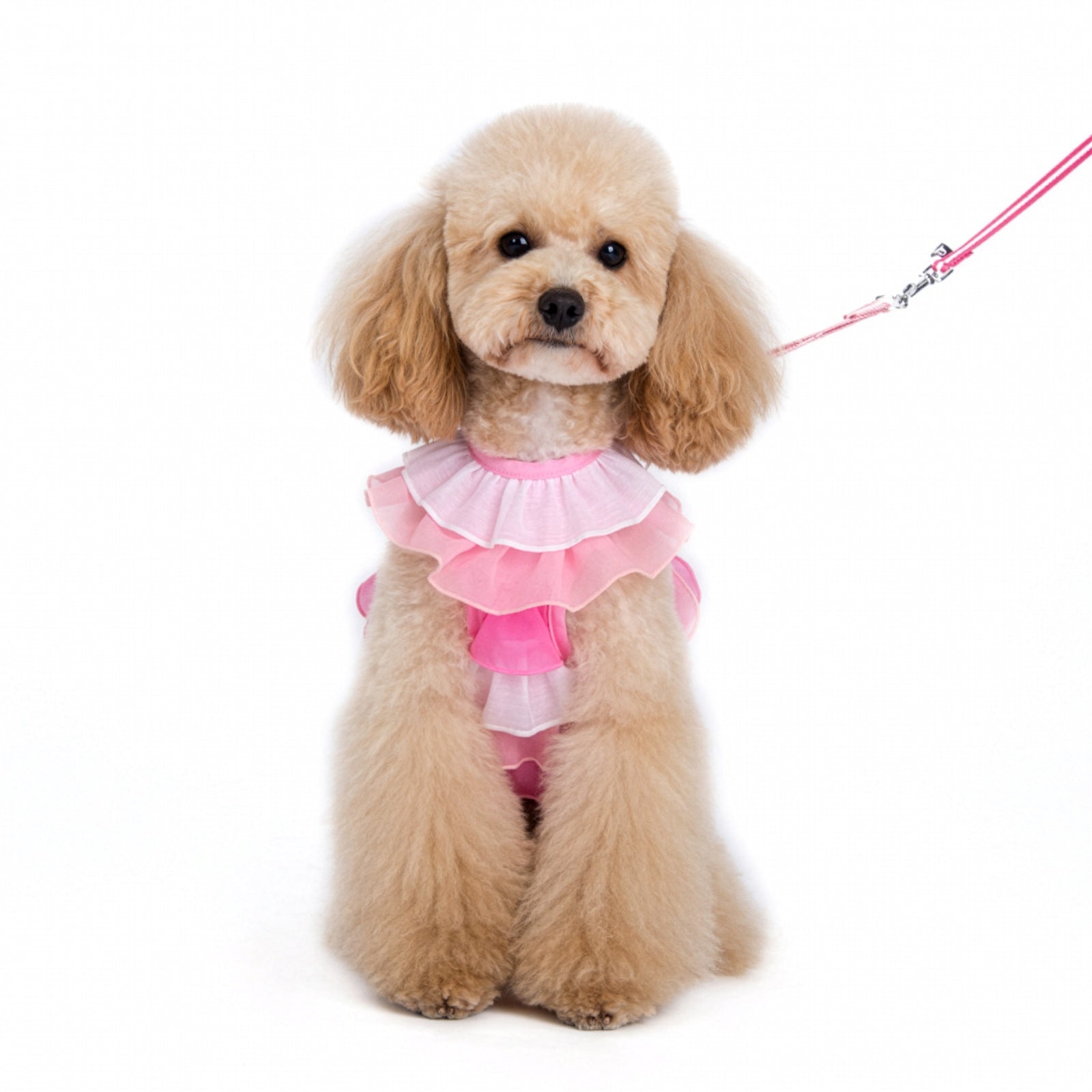 DOGO EasyGO Multi Ruffle Dog Harness and Leash Set