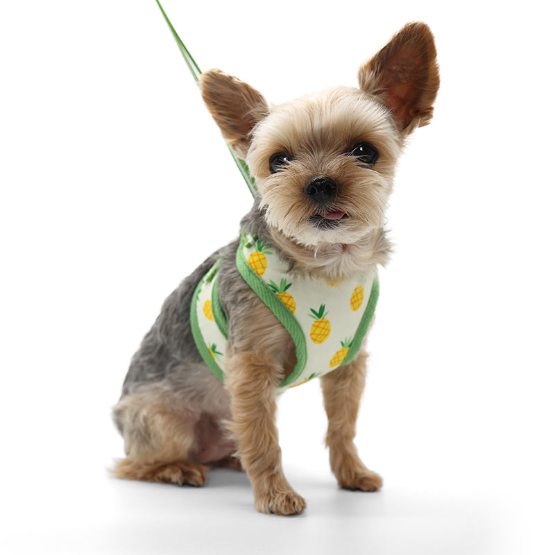 DOGO EasyGO Pineapple Dog Harness and Leash Set