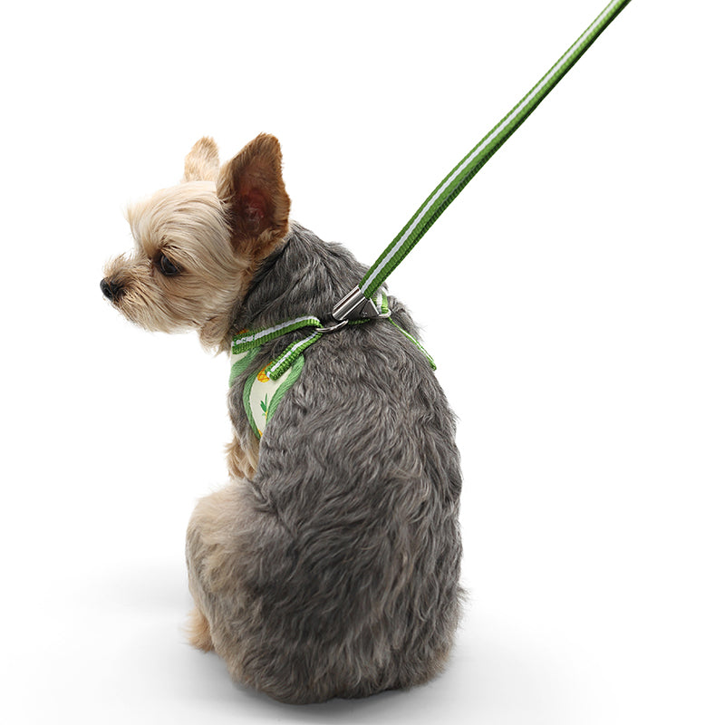 DOGO EasyGO Pineapple Dog Harness and Leash Set