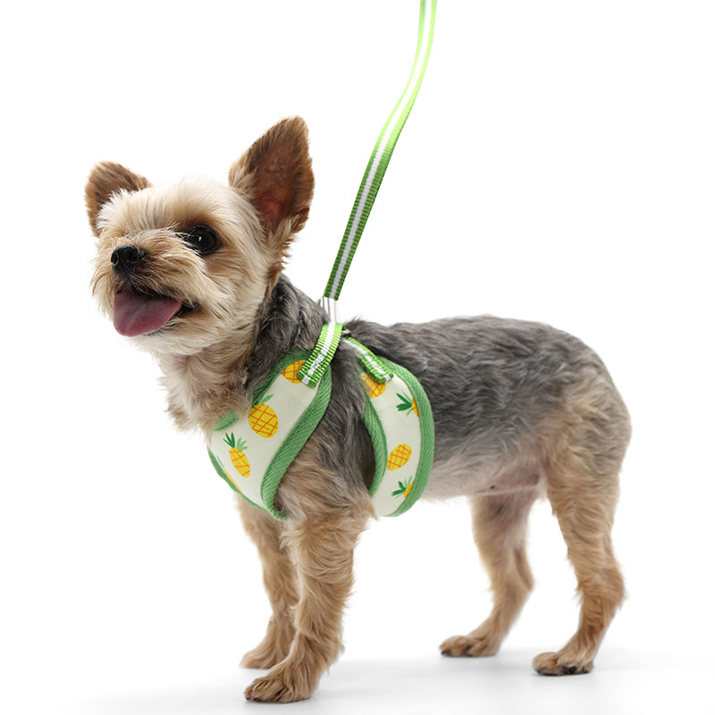 DOGO EasyGO Pineapple Dog Harness and Leash Set