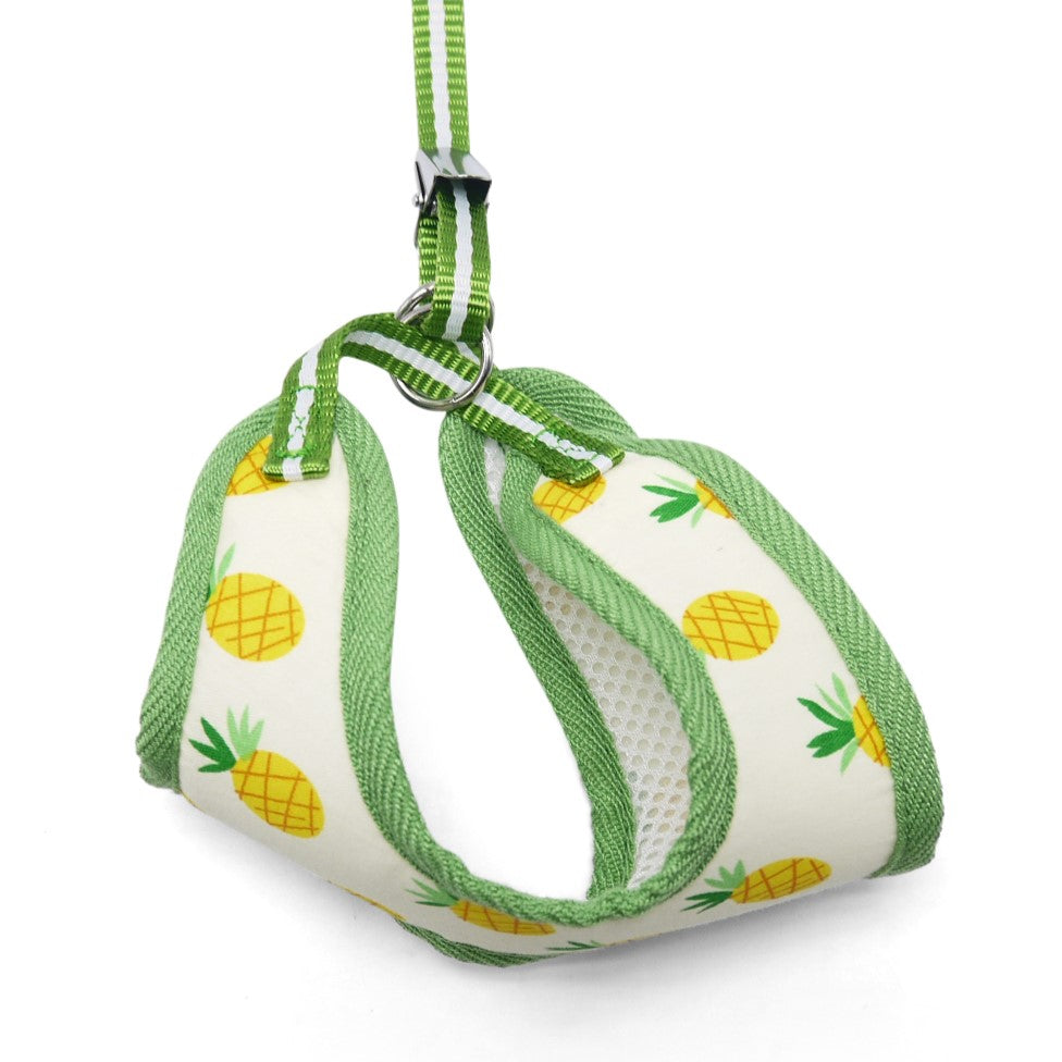 DOGO EasyGO Pineapple Dog Harness and Leash Set