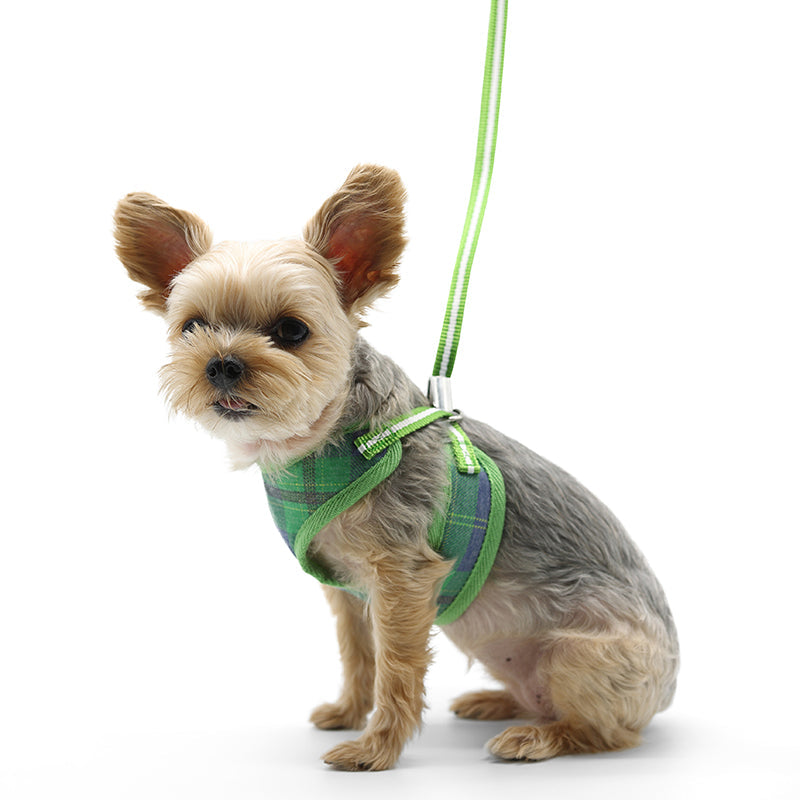 DOGO EasyGO Plaid Dog Harness and Leash Set