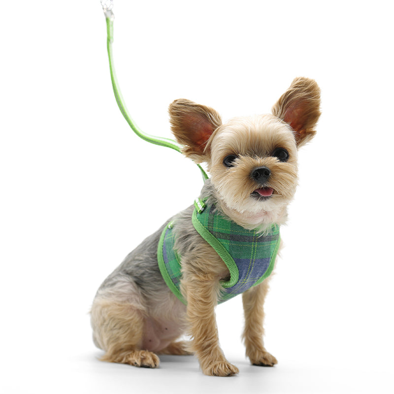DOGO EasyGO Plaid Dog Harness and Leash Set