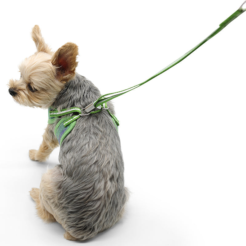 DOGO EasyGO Plaid Dog Harness and Leash Set