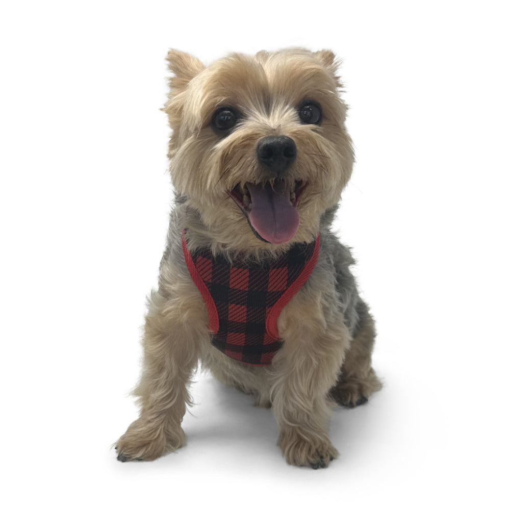 DOGO EasyGO Plaid Dog Harness and Leash Set