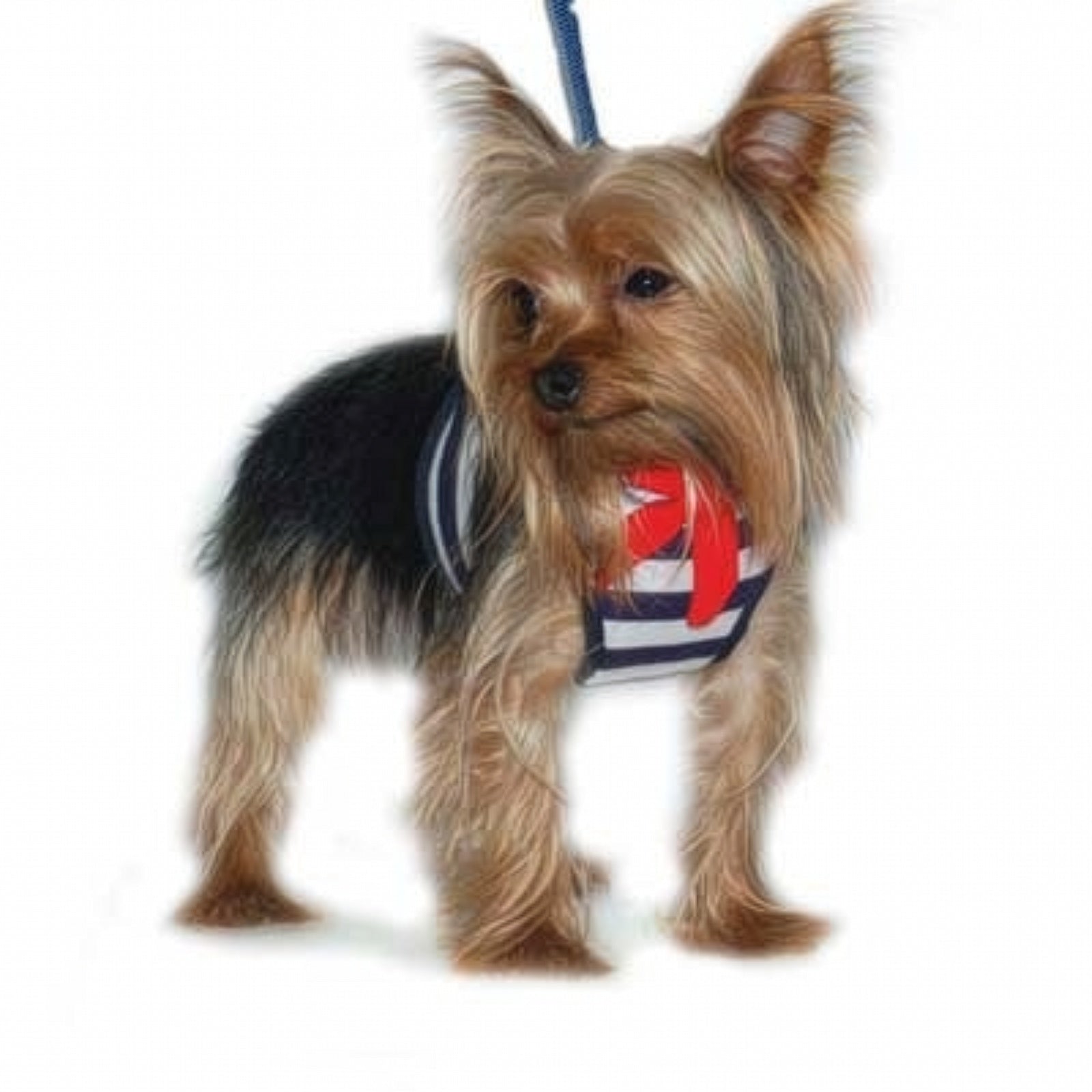 DOGO EasyGO Sailor Dog Harness and Leash Set