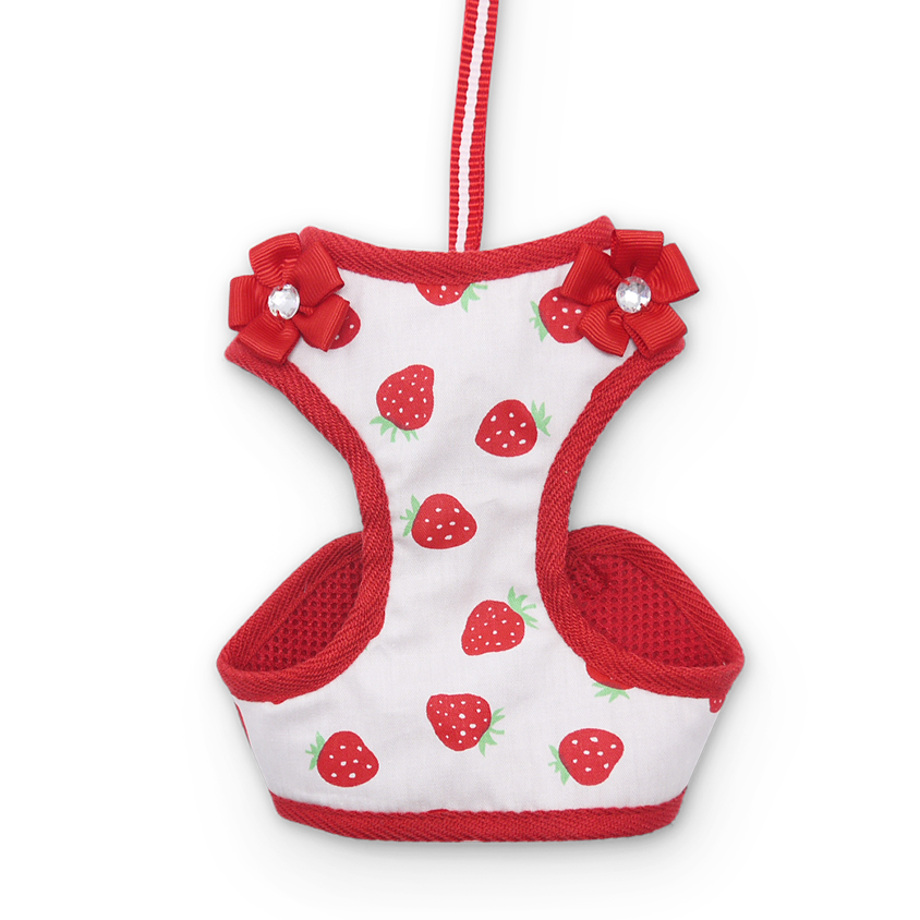 DOGO EasyGO Strawberry Dog Harness and Leash Set