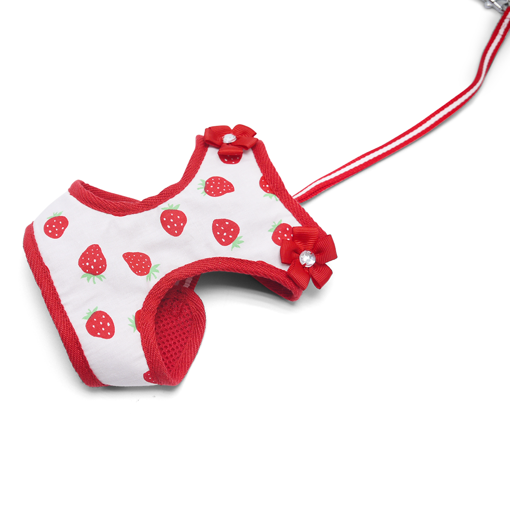 DOGO EasyGO Strawberry Dog Harness and Leash Set