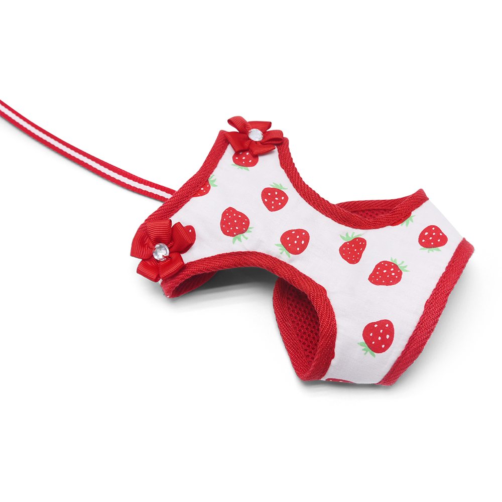 DOGO EasyGO Strawberry Dog Harness and Leash Set