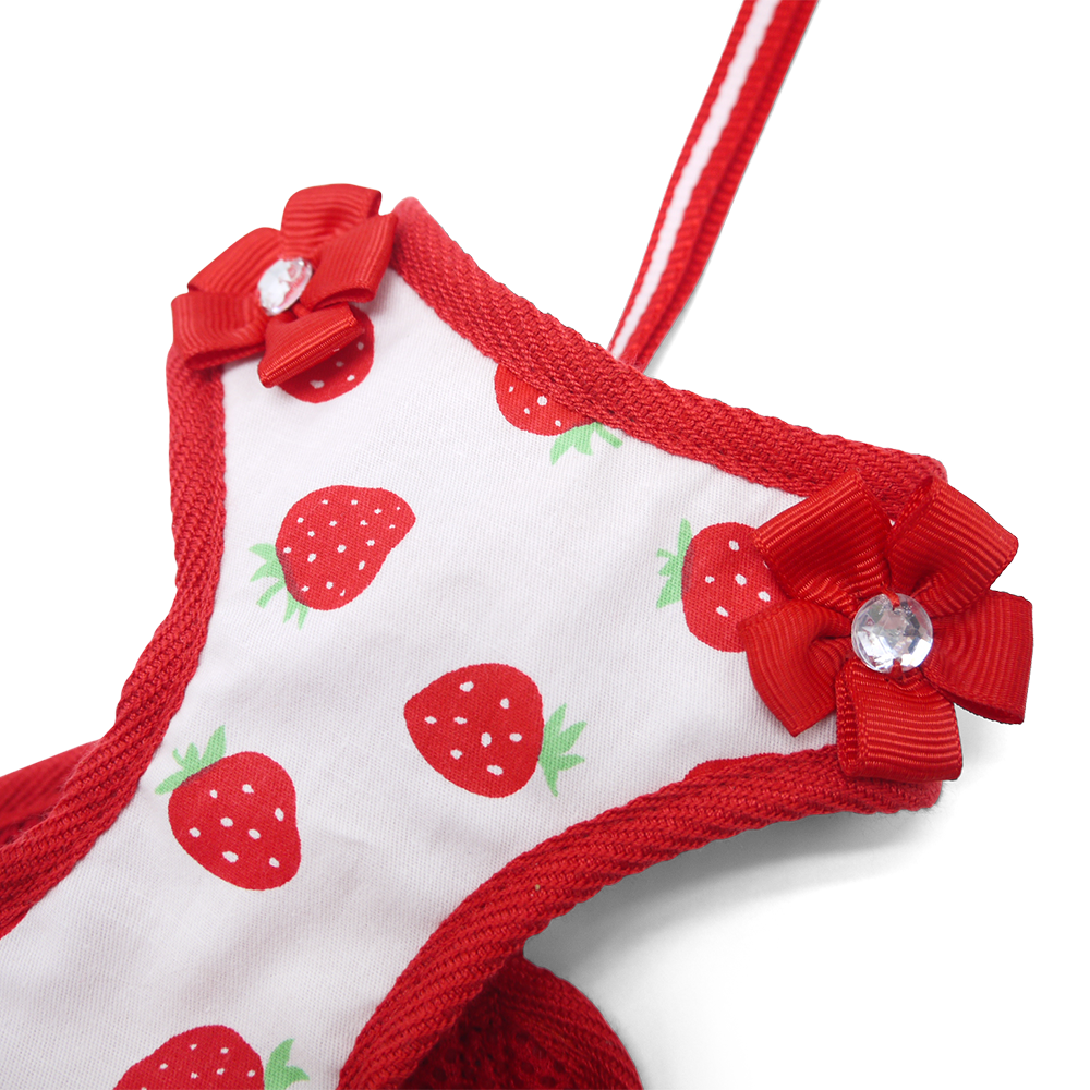 DOGO EasyGO Strawberry Dog Harness and Leash Set