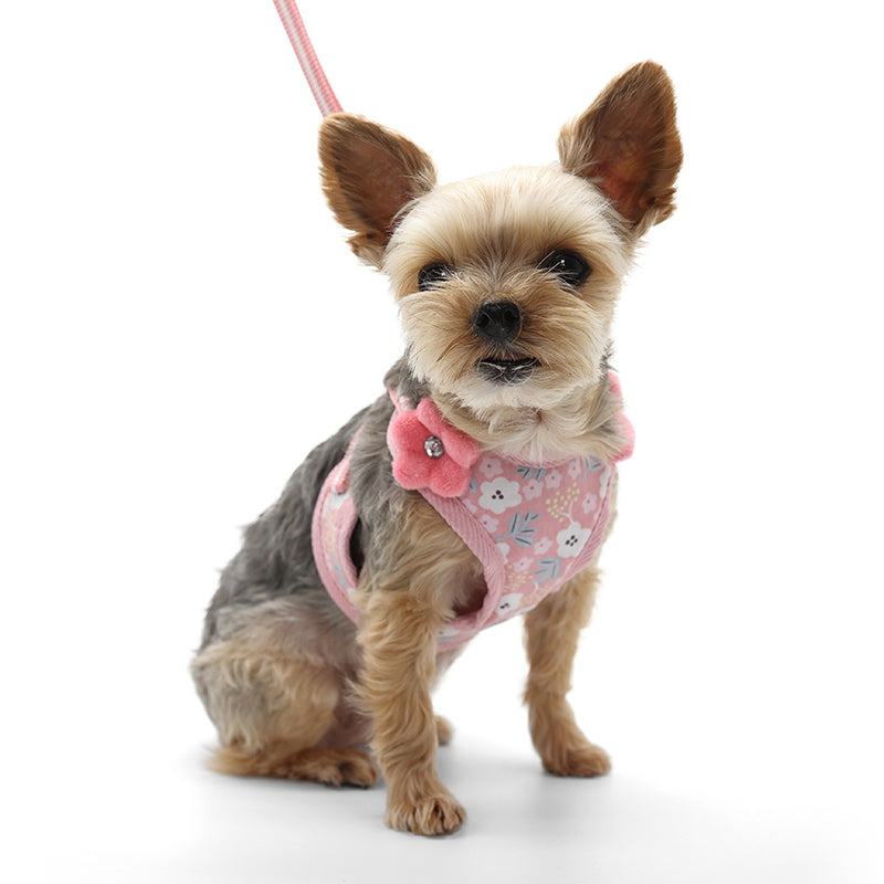 DOGO EasyGO Sweet Floral Dog Harness and Leash Set