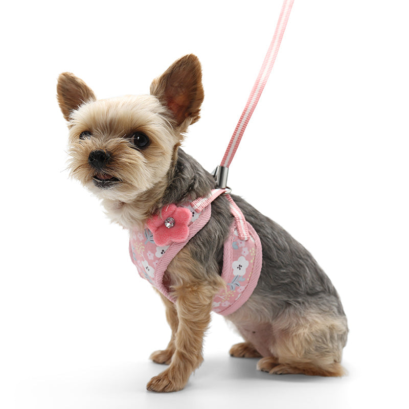 DOGO EasyGO Sweet Floral Dog Harness and Leash Set