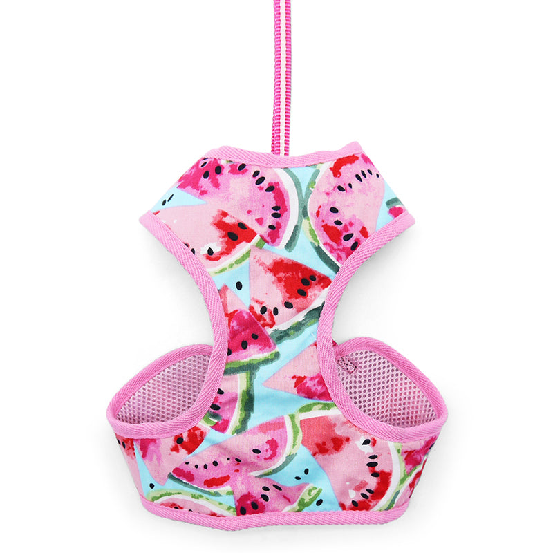 DOGO EasyGO Watermelon Dog Harness and Leash Set