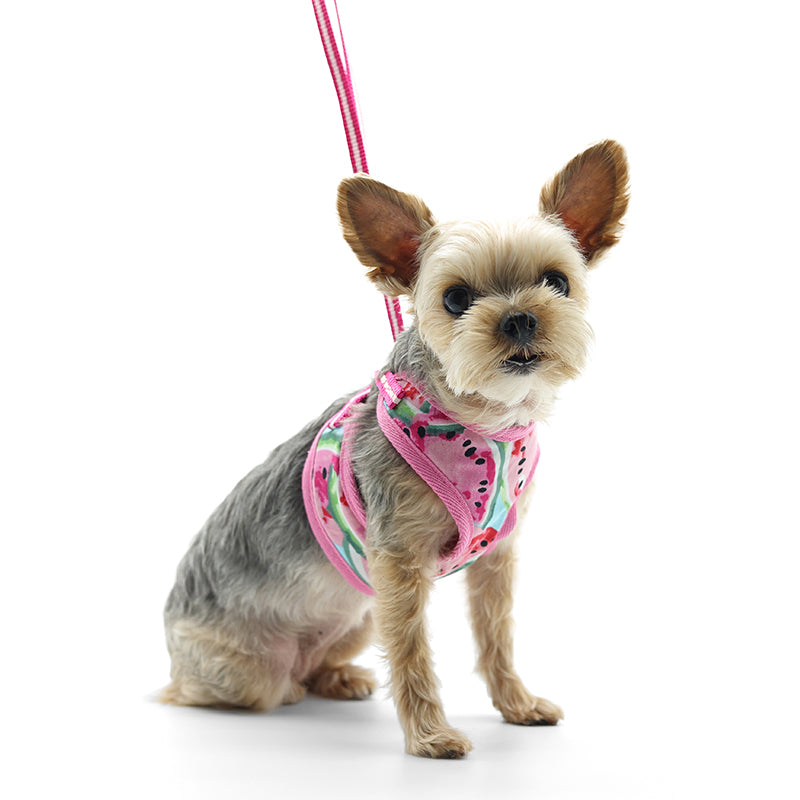 DOGO EasyGO Watermelon Dog Harness and Leash Set