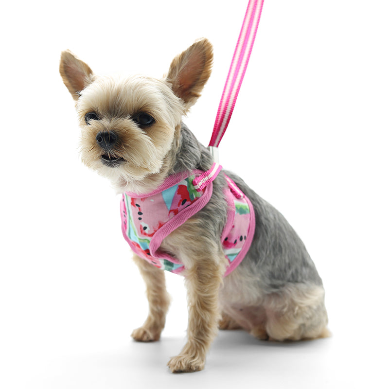 DOGO EasyGO Watermelon Dog Harness and Leash Set