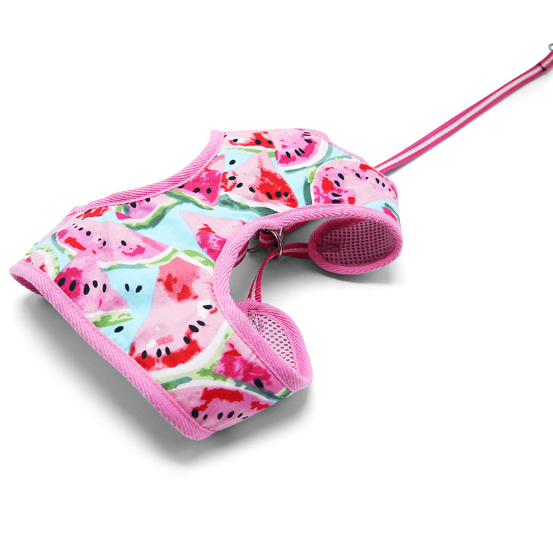 DOGO EasyGO Watermelon Dog Harness and Leash Set