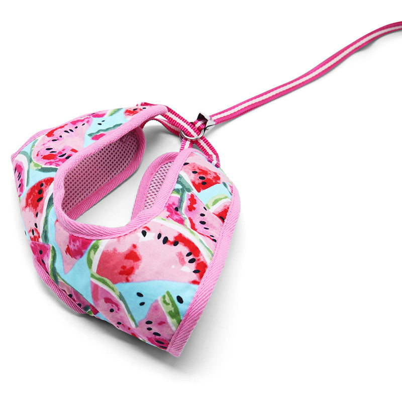 DOGO EasyGO Watermelon Dog Harness and Leash Set
