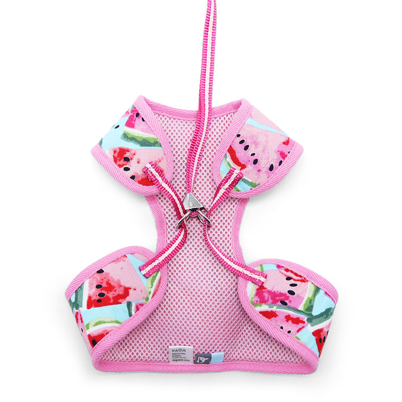 DOGO EasyGO Watermelon Dog Harness and Leash Set