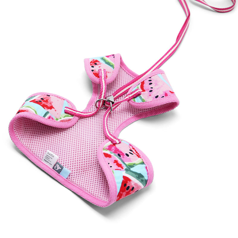 DOGO EasyGO Watermelon Dog Harness and Leash Set