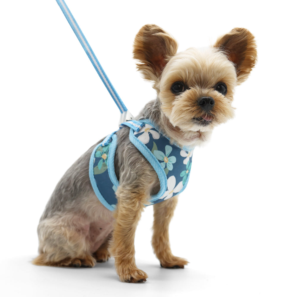 DOGO EasyGO Wildflower Dog Harness and Leash Set