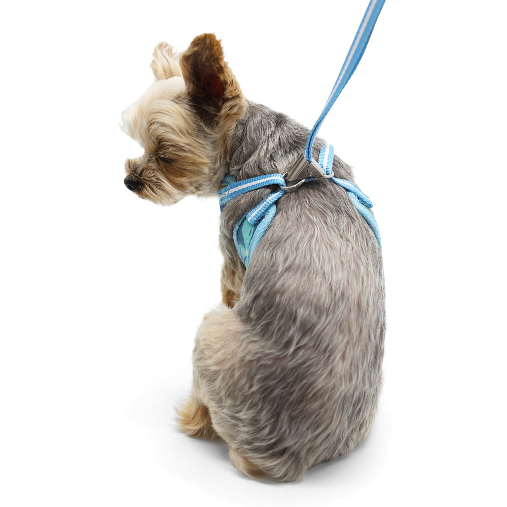 DOGO EasyGO Wildflower Dog Harness and Leash Set