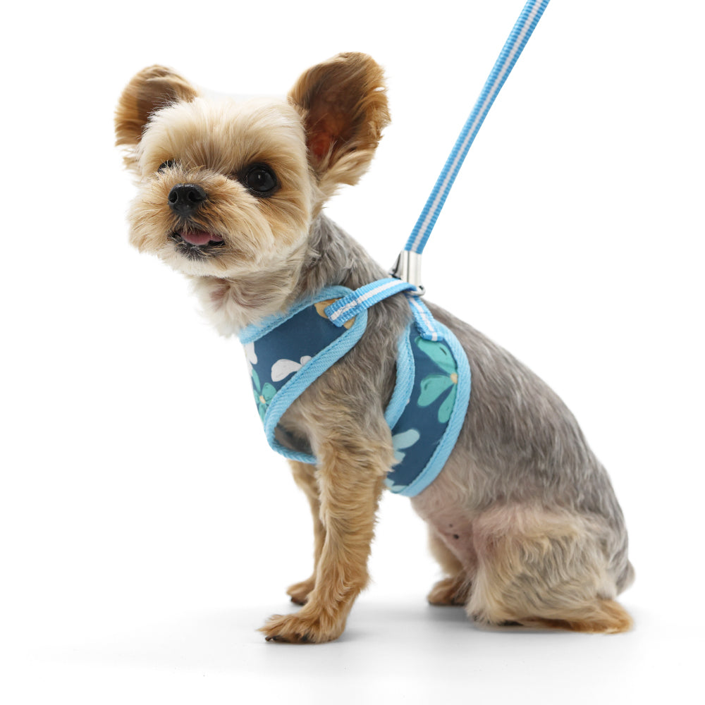 DOGO EasyGO Wildflower Dog Harness and Leash Set