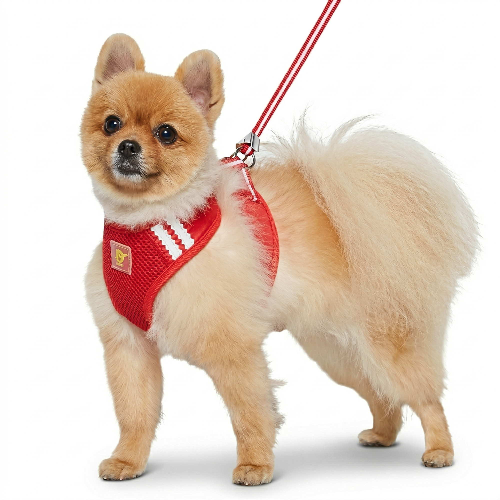 DOGO EasyGO Basic Dog Harness and Leash Set