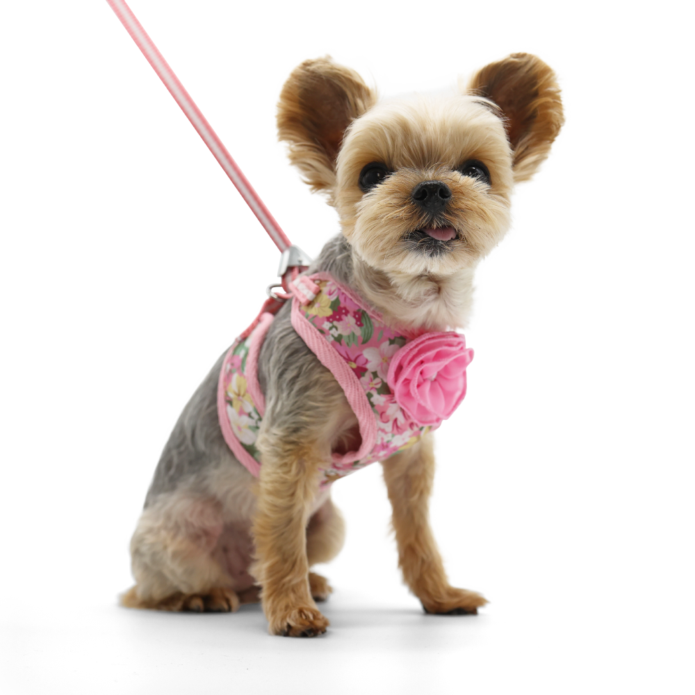 DOGO EasyGO Blossom Dog Harness and Leash Set