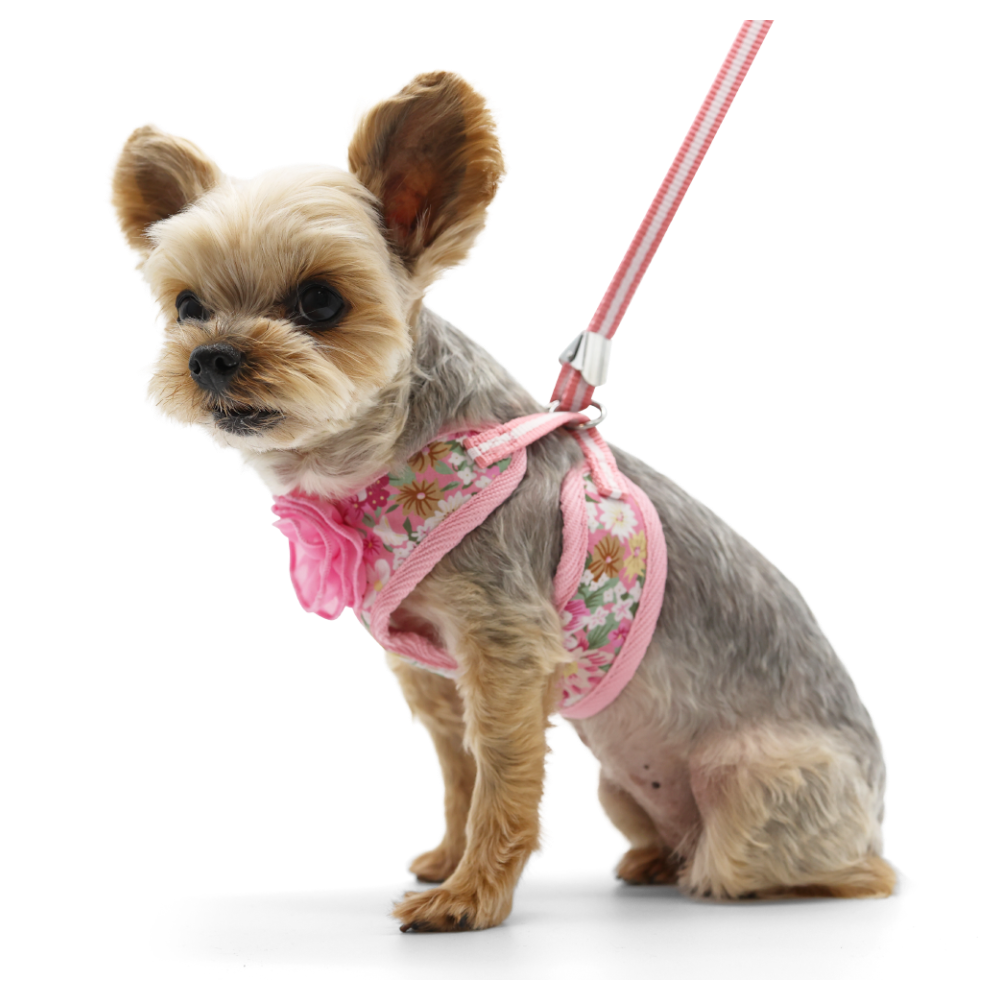 DOGO EasyGO Blossom Dog Harness and Leash Set