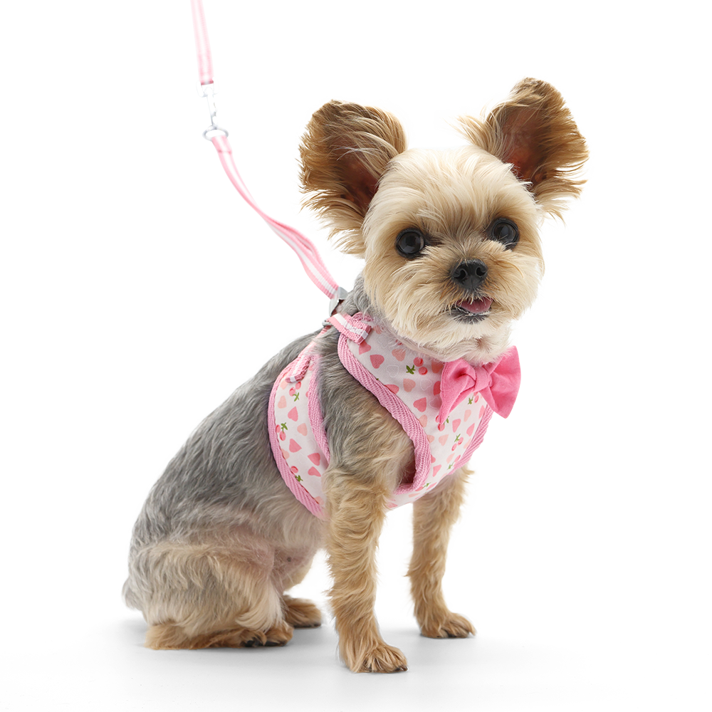 DOGO EasyGO Cherish Heart Dog Harness and Leash Set