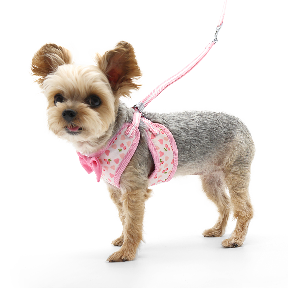 DOGO EasyGO Cherish Heart Dog Harness and Leash Set