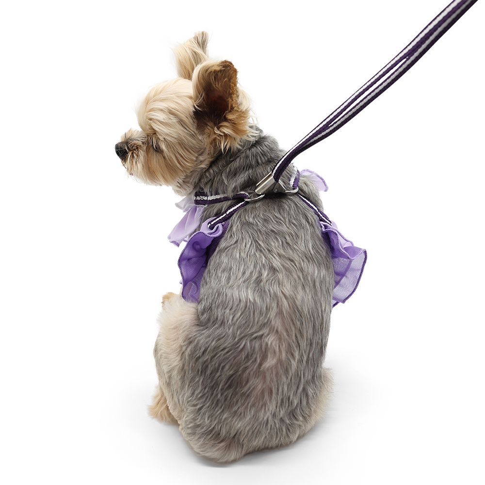 DOGO EasyGO Multi Ruffle Purple Dog Harness and Leash Set