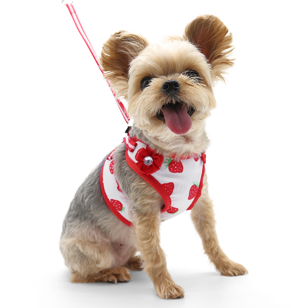 DOGO EasyGO Strawberry Dog Harness and Leash Set