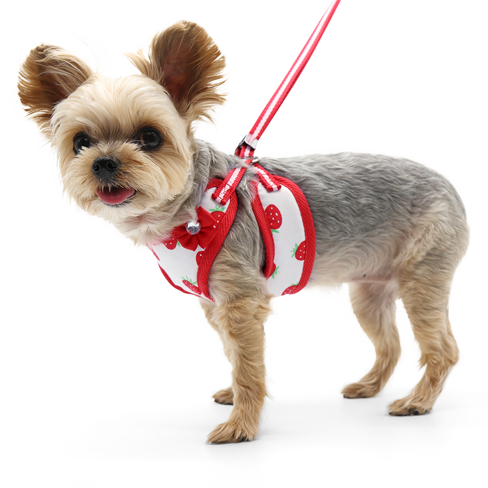 DOGO EasyGO Strawberry Dog Harness and Leash Set