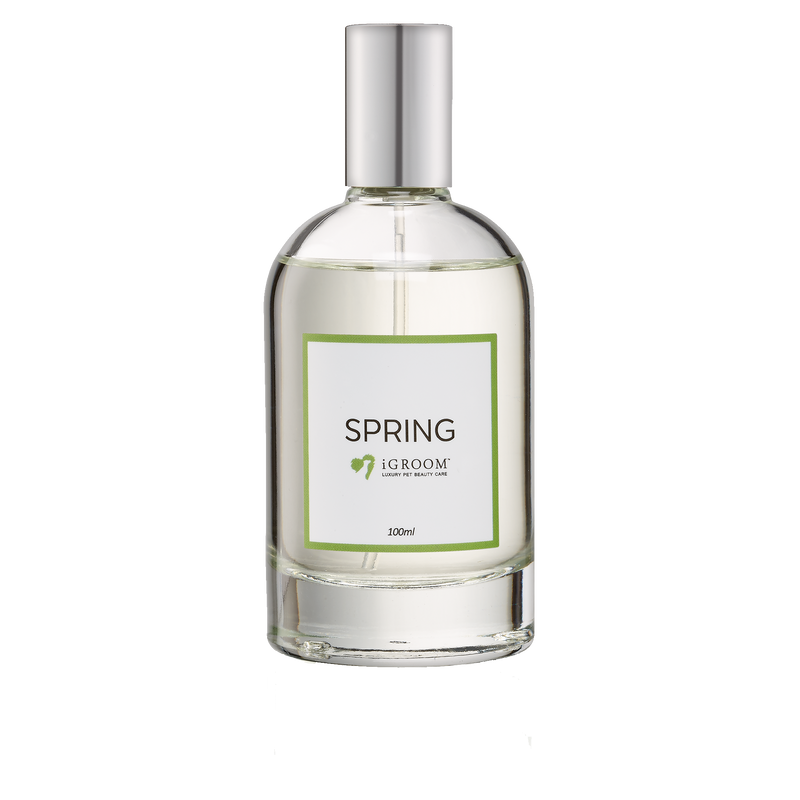 Spring Perfume 100ml by iGroom