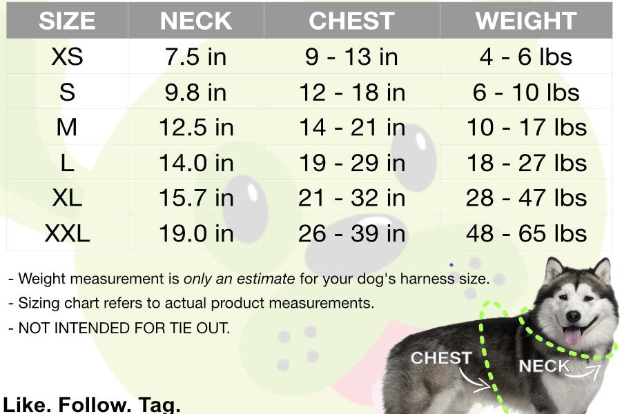 EcoBark Teal Dog Harness - Over-the-Head Soft Mesh Dog Vest Halter for Small to Medium Dogs and Puppies