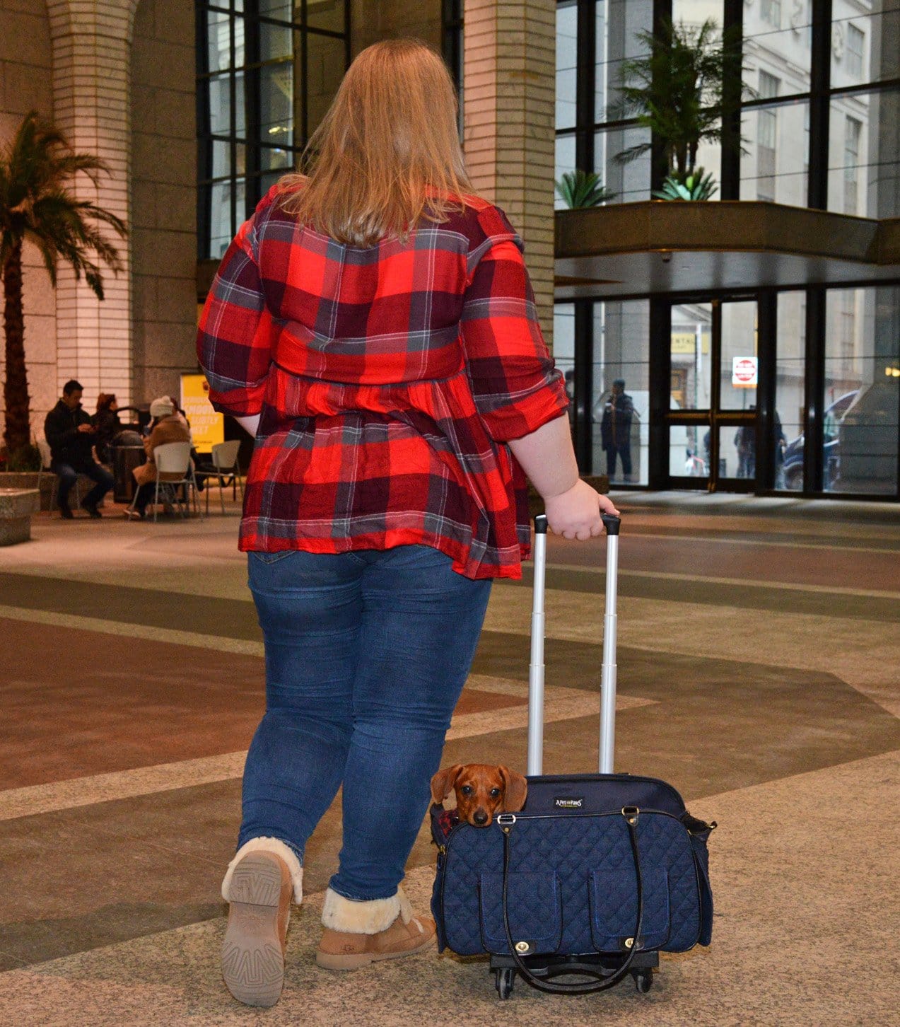 Edgar Pet Carrier + Pet-Trek® : Airline Approved