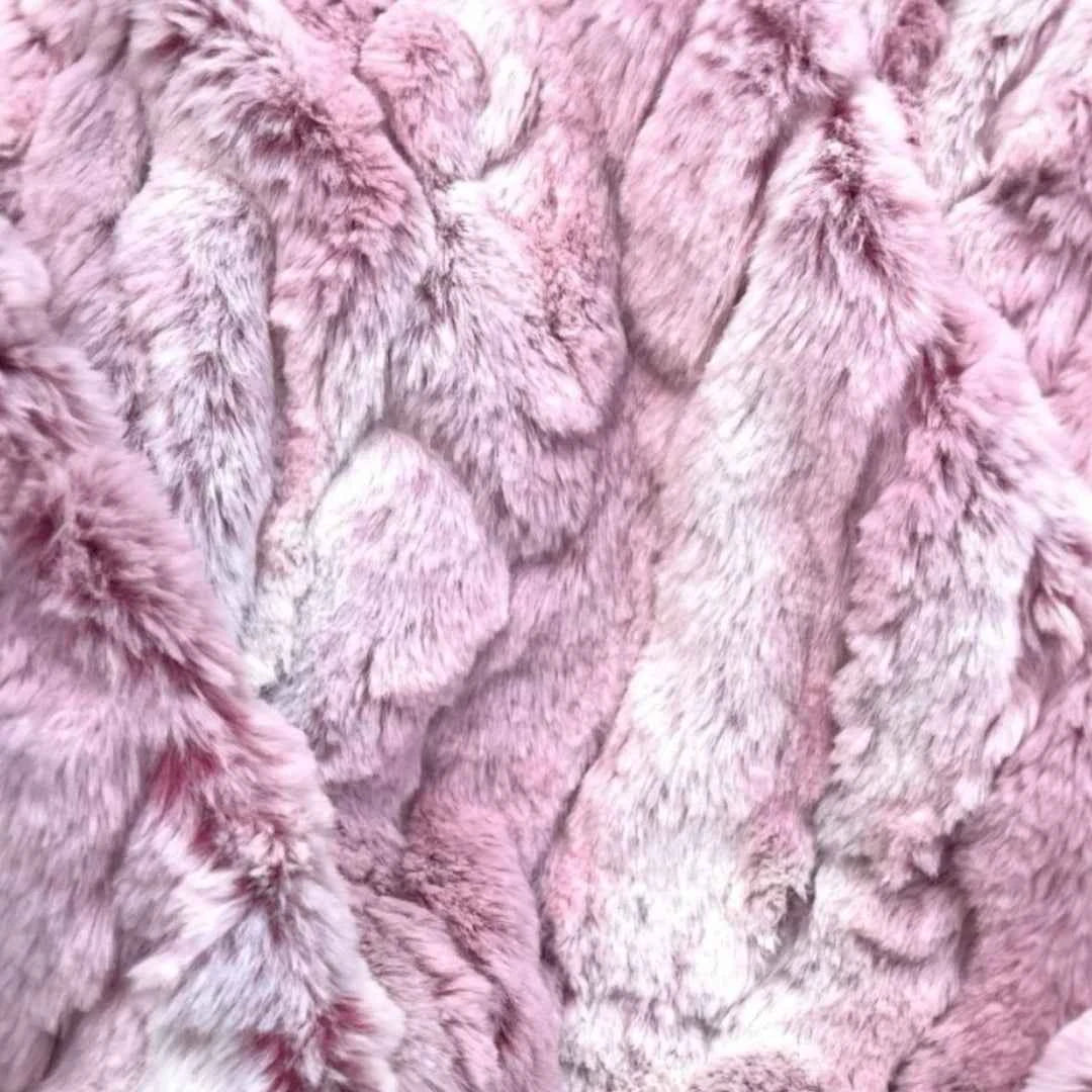 Hello Doggie Elite Dog Blanket
