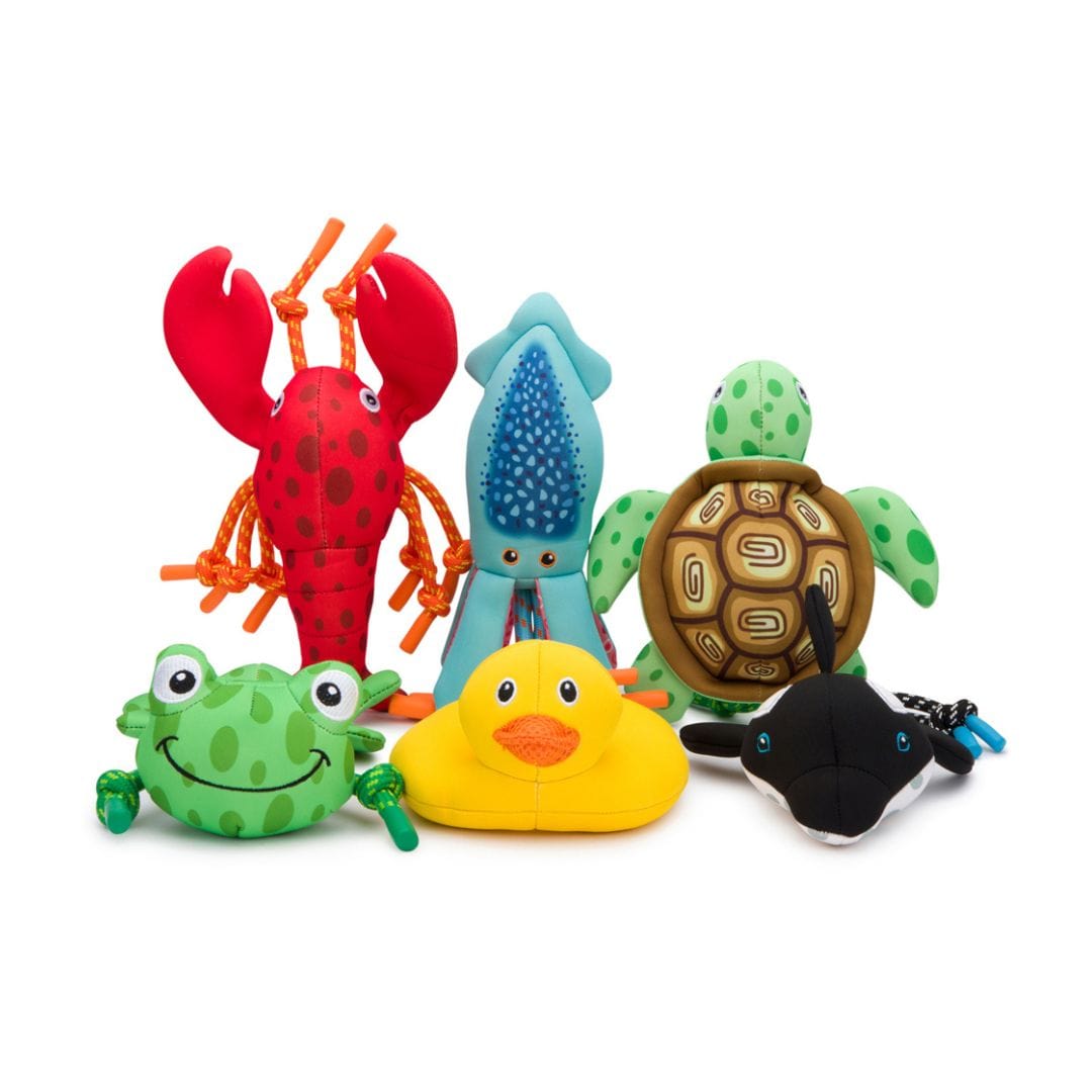 Floatie Duck 