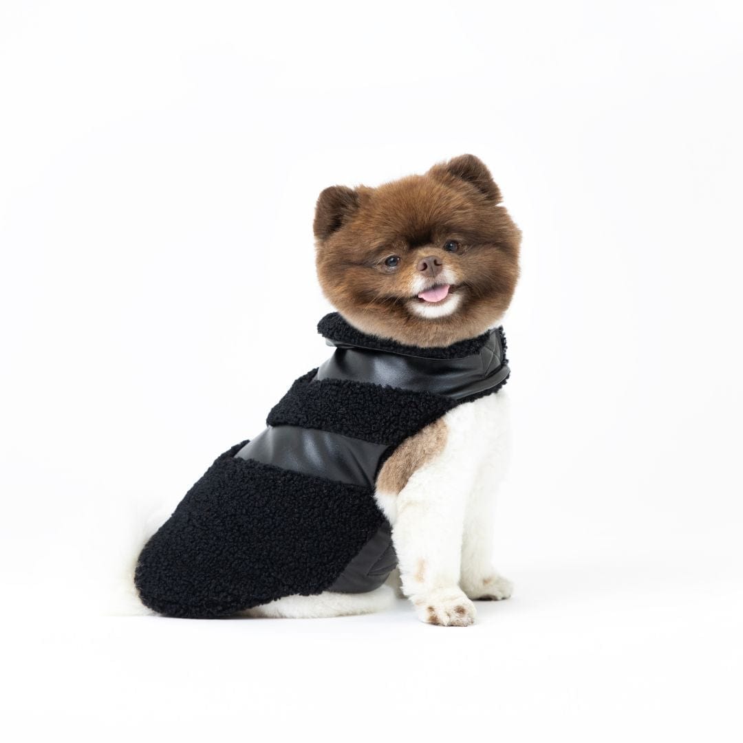 Fab Ski Black Leather Shearling Coat 