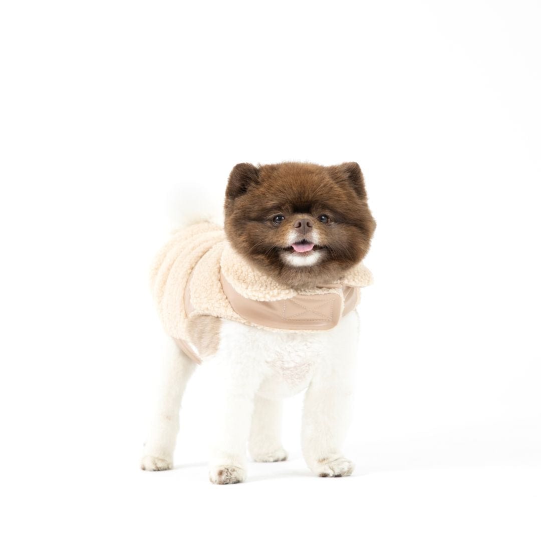Fab Ski Tan Leather Shearling Coat 