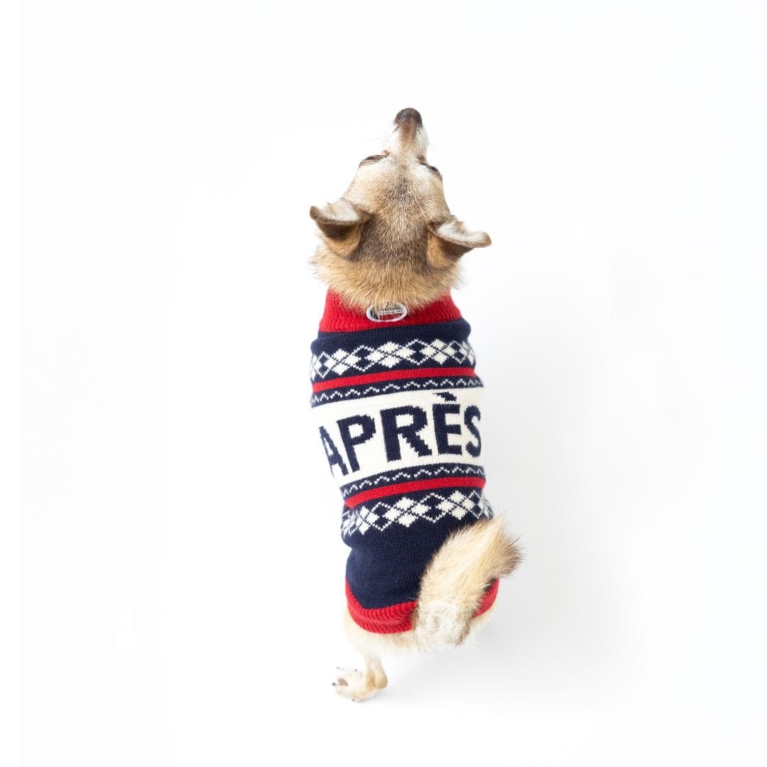Fab Ski Après Sweater 