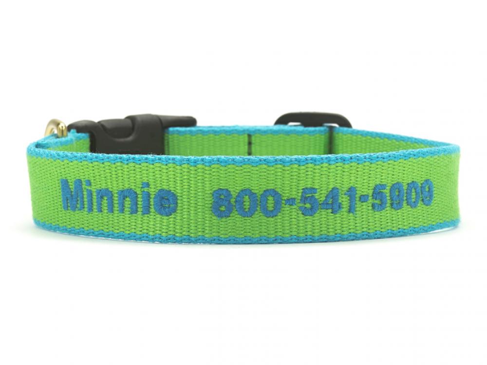 Color Market Dog Collar - Narrow