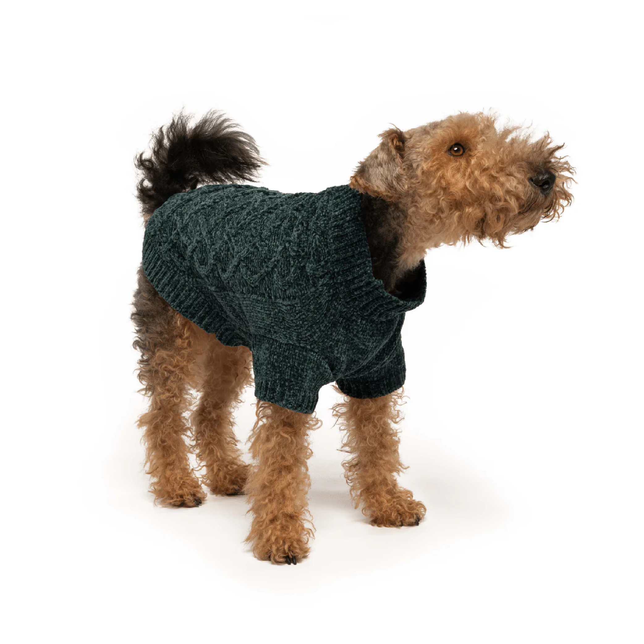 Emerald Chenille Sweater 