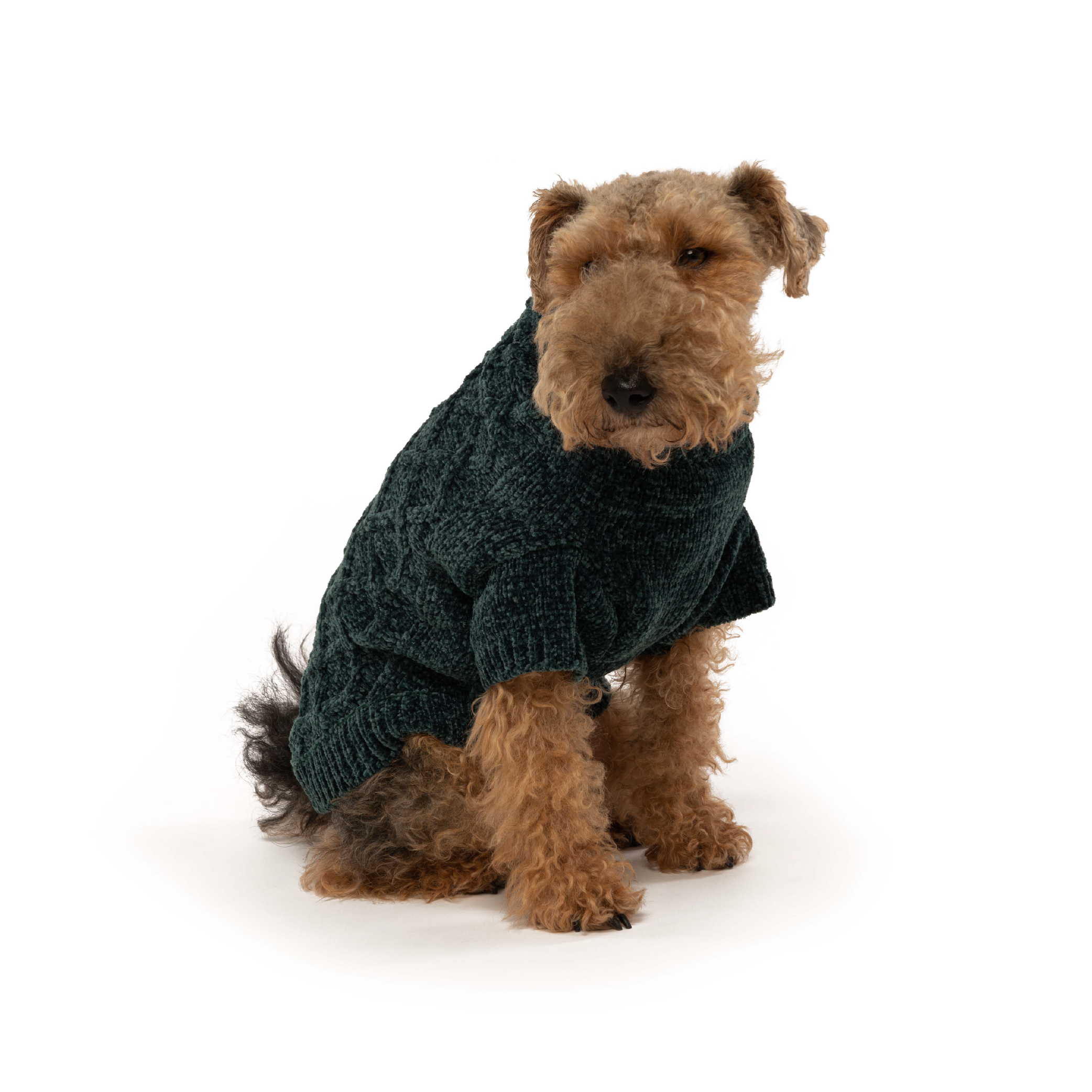 Emerald Chenille Sweater 