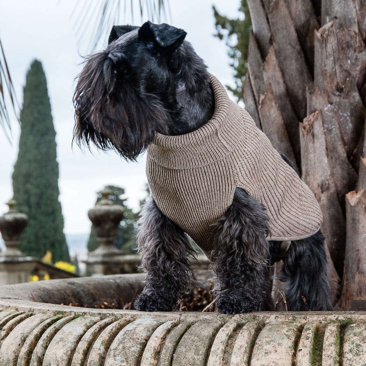 Natural Rib-Cashmere