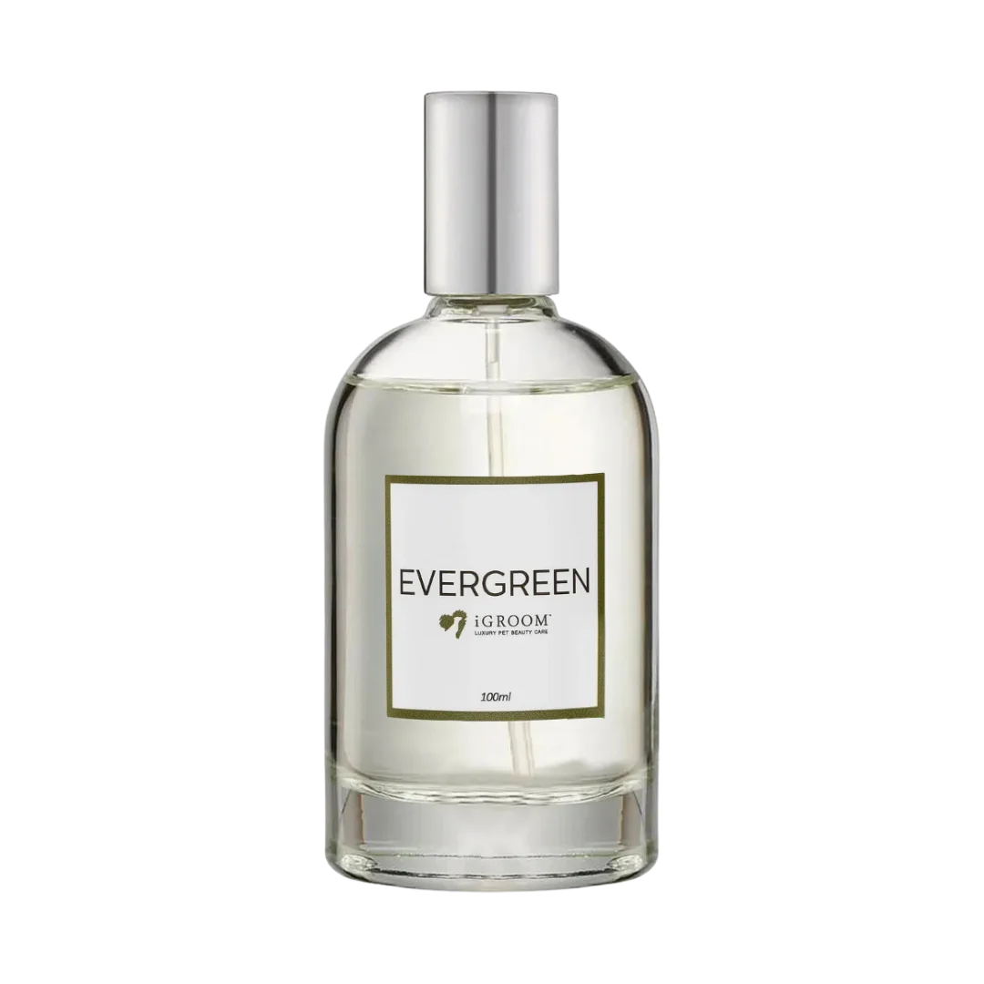 Evergreen Perfume 100ml by iGroom